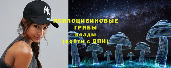дурь Алзамай